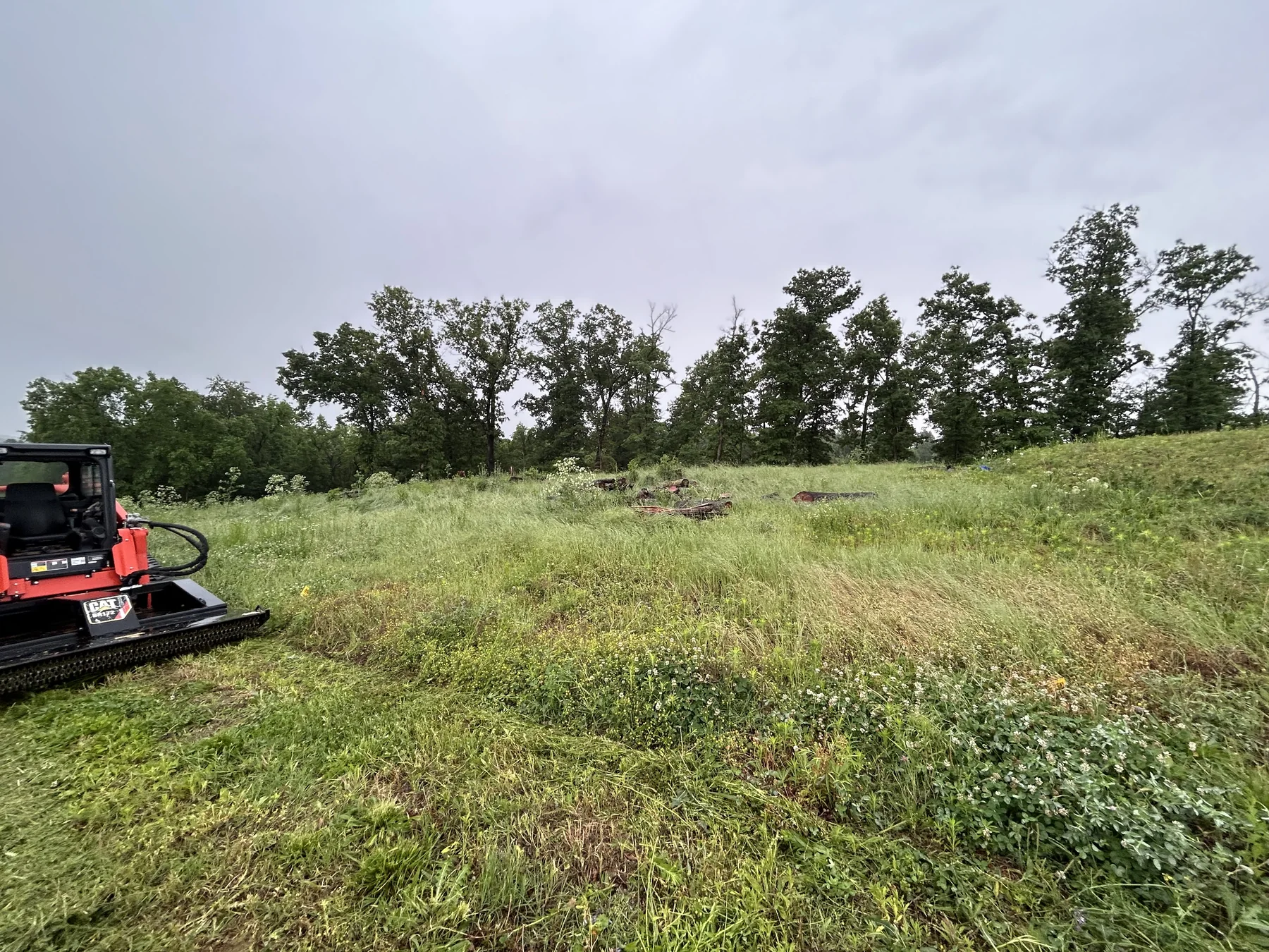 Property clearing work in a grassy area